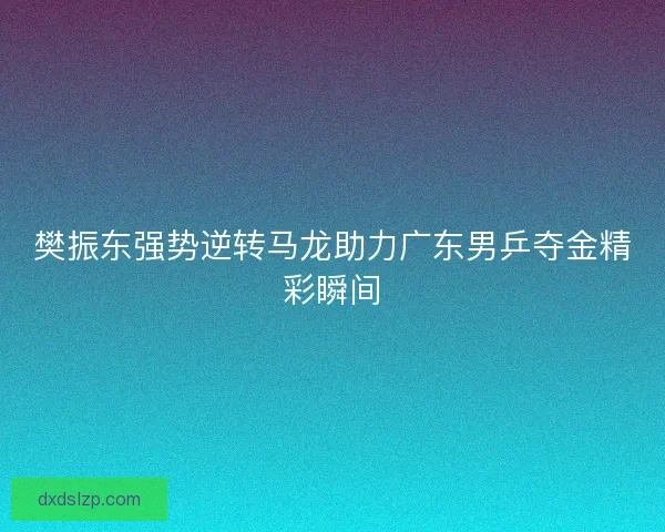 樊振东强势逆转马龙助力广东男乒夺金精彩瞬间