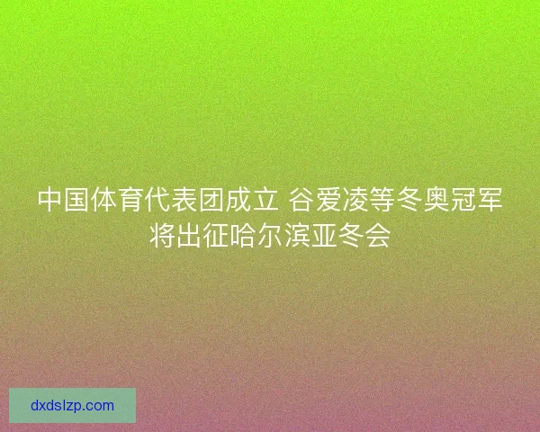 中国体育代表团成立 谷爱凌等冬奥冠军将出征哈尔滨亚冬会